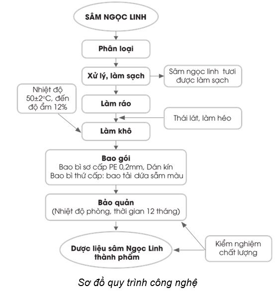 Sơ chế, chế biến dược liệu