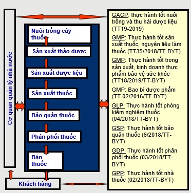 1.2. Tại sao phải sản xuất dược liệu theo GACP – WHO?