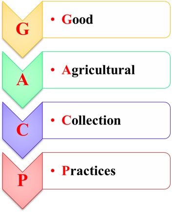 1.1. GACP - WHO là gì?